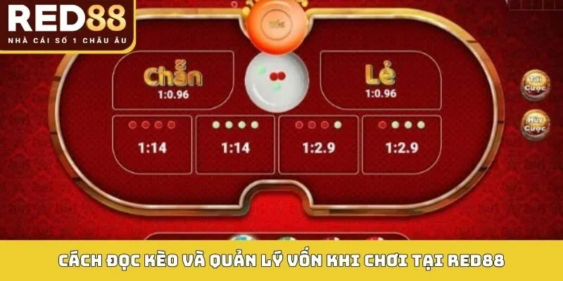 Cách đọc kèo và quản lý vốn khi chơi tại RED88