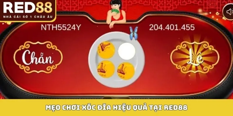 Mẹo chơi xóc đĩa hiệu quả tại RED88