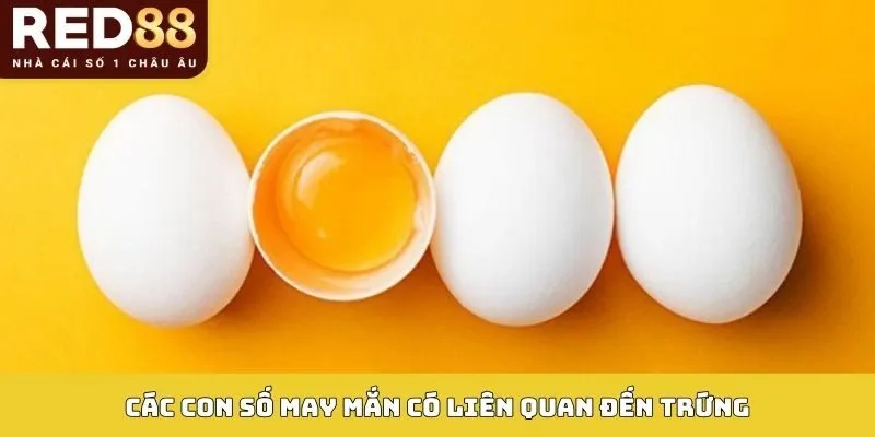 Các con số may mắn có liên quan đến trứng
