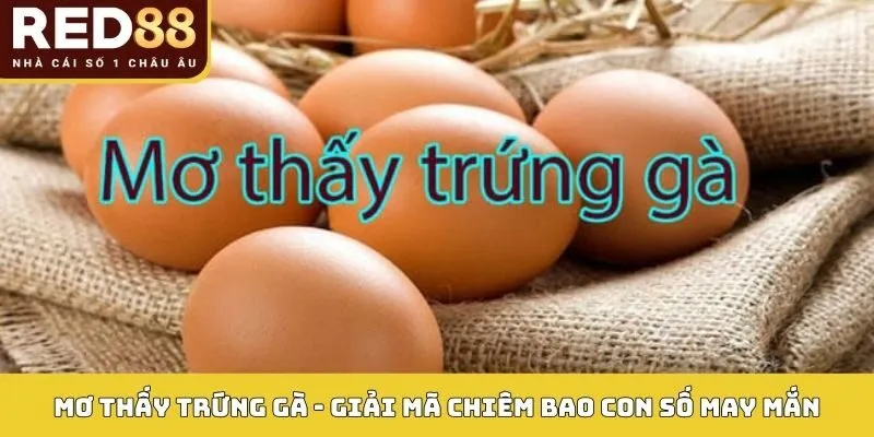 Mơ Thấy Trứng Gà