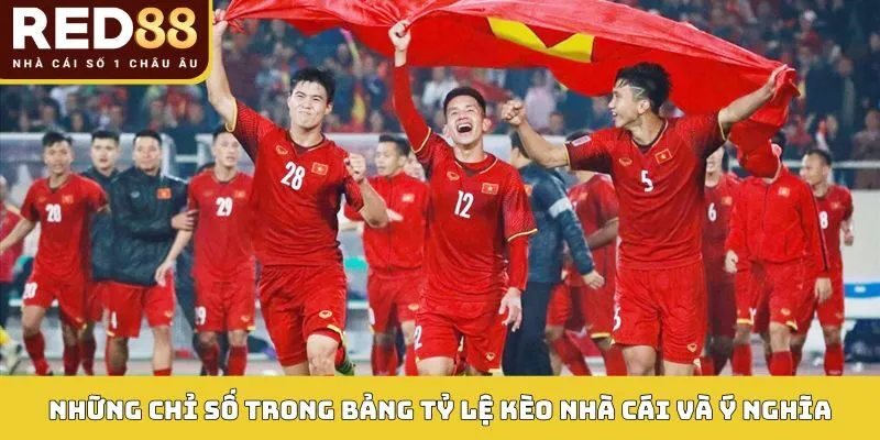 Bảng Tỷ Lệ Kèo Nhà Cái Red88 - Lựa Chọn Giành Thắng Lớn 2 Những chỉ số trong bảng tỷ lệ kèo nhà cái và ý nghĩa