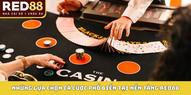 Những lựa chọn cá cược phổ biến tại nền tảng Red88