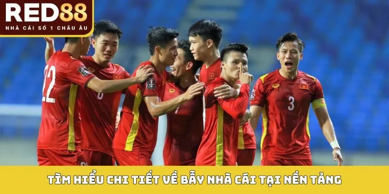 Tìm hiểu chi tiết về bẫy nhà cái tại nền tảng